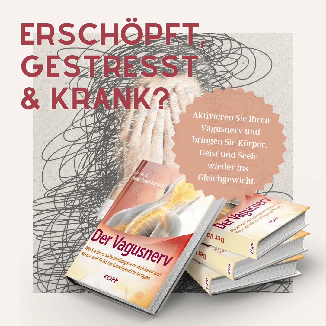 Der Vagusnerv