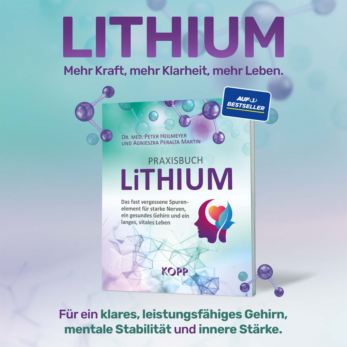 Praxisbuch Lithium