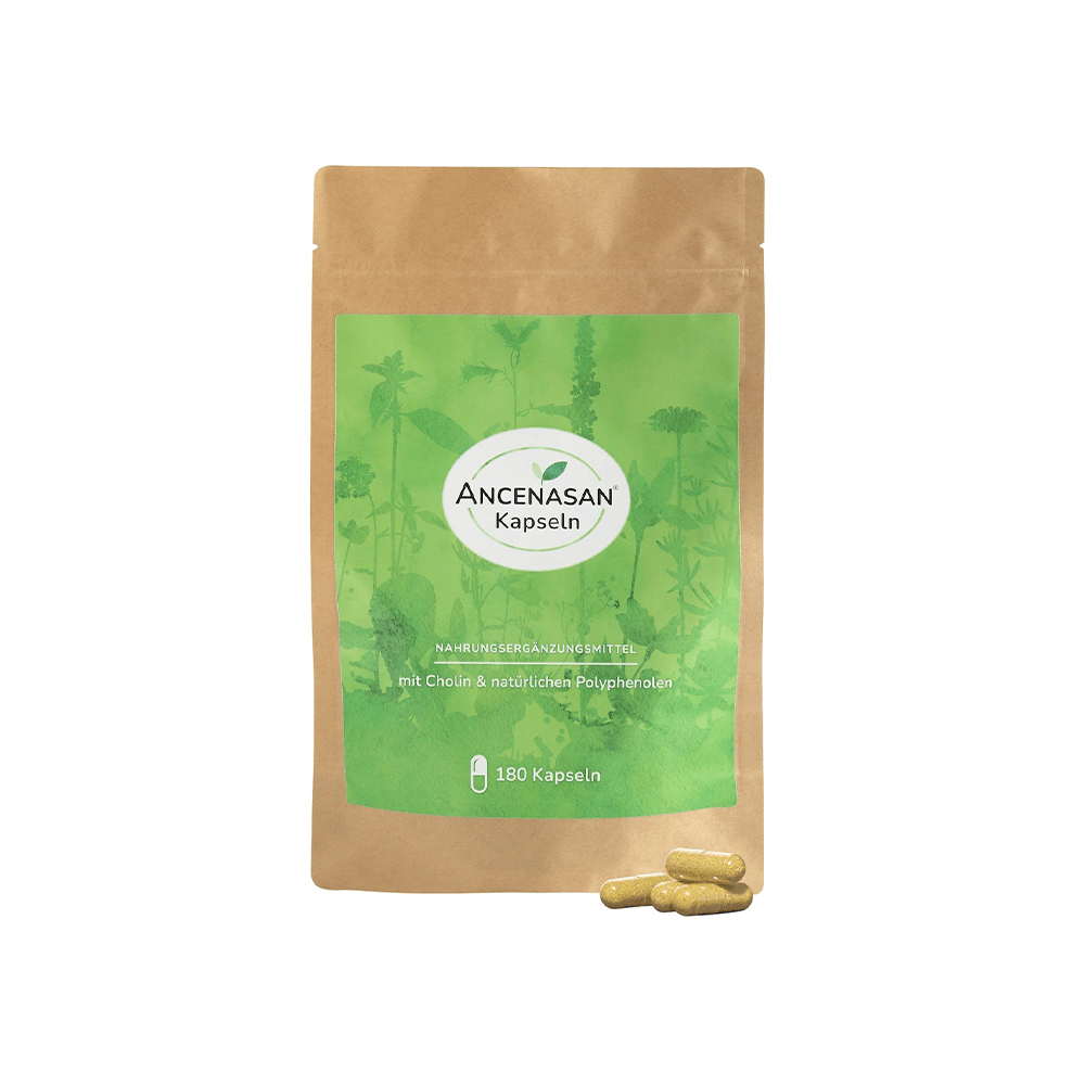 ANCENASAN® Bitterkräuter Kapseln mit Cholin Nachfüllpackung