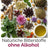 ANCENASAN® herbal 49 Bitterkräuter und Gewürze (20g)