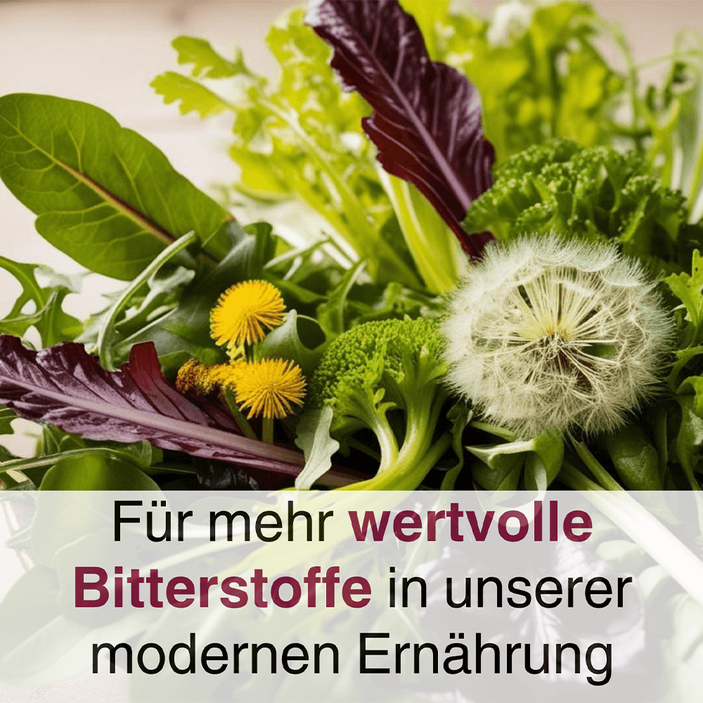 ANCENASAN® Kapseln mit Cholin