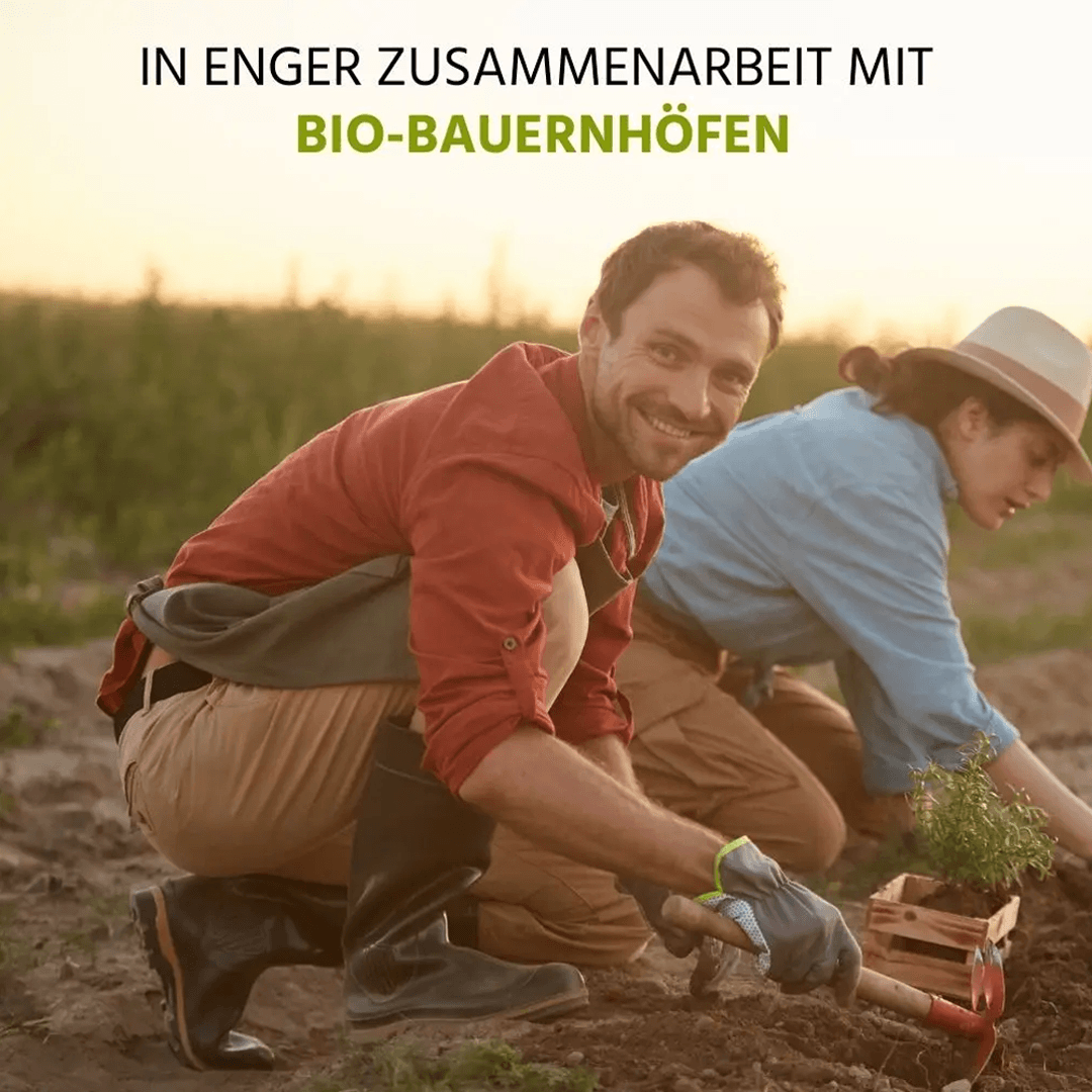 Bio Tinktur „Ab durch die Mitte“