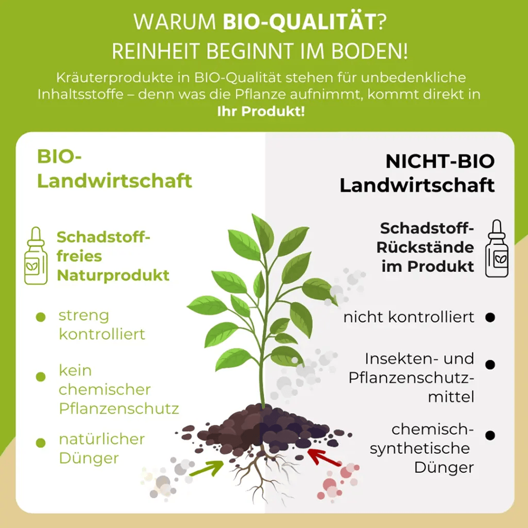 Bio Tinktur „Ab durch die Mitte“
