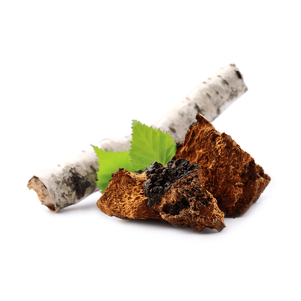 Bio Chaga Kapseln