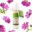 Bio Lotion für Körper und Gesicht