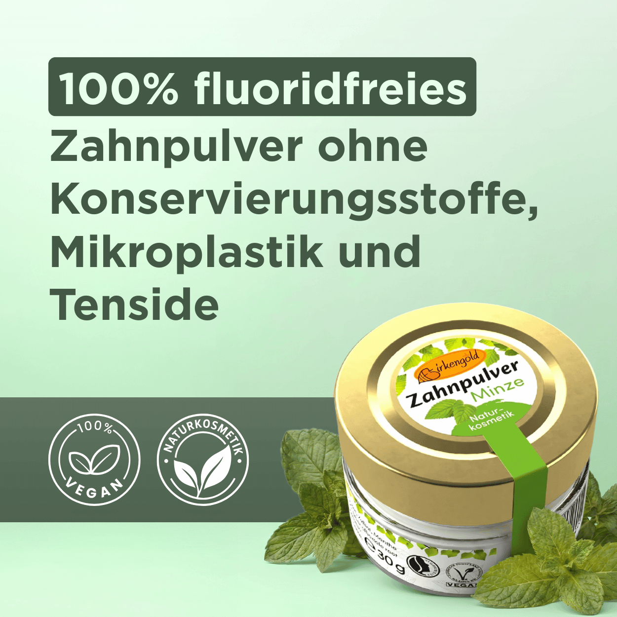 Fluoridfreies Zahnpulver Minze