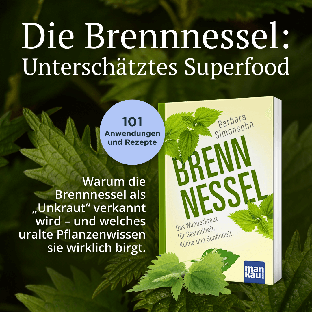 Brennnessel Kompakt-Ratgeber