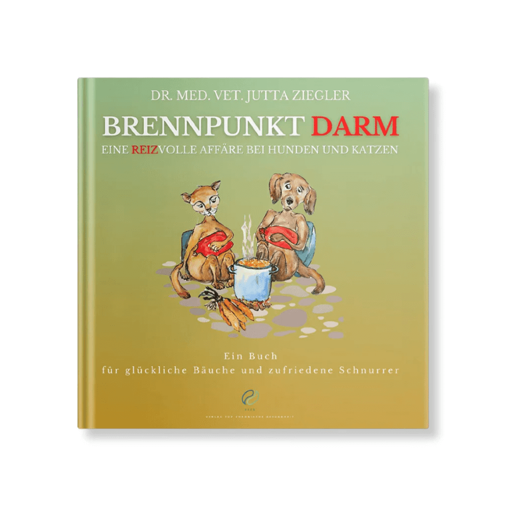 Brennpunkt Darm