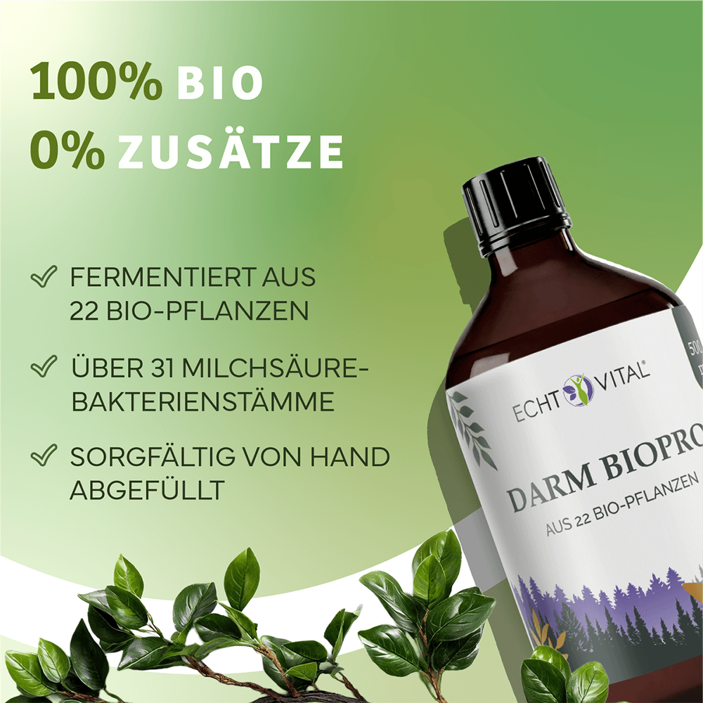 Darm Biopro Fermentgetränk