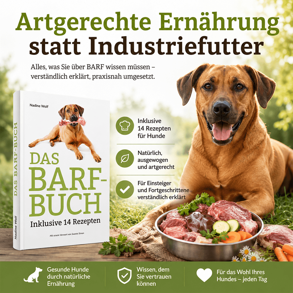 Das BARF-Buch