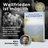 Das Buch vom Weltfrieden