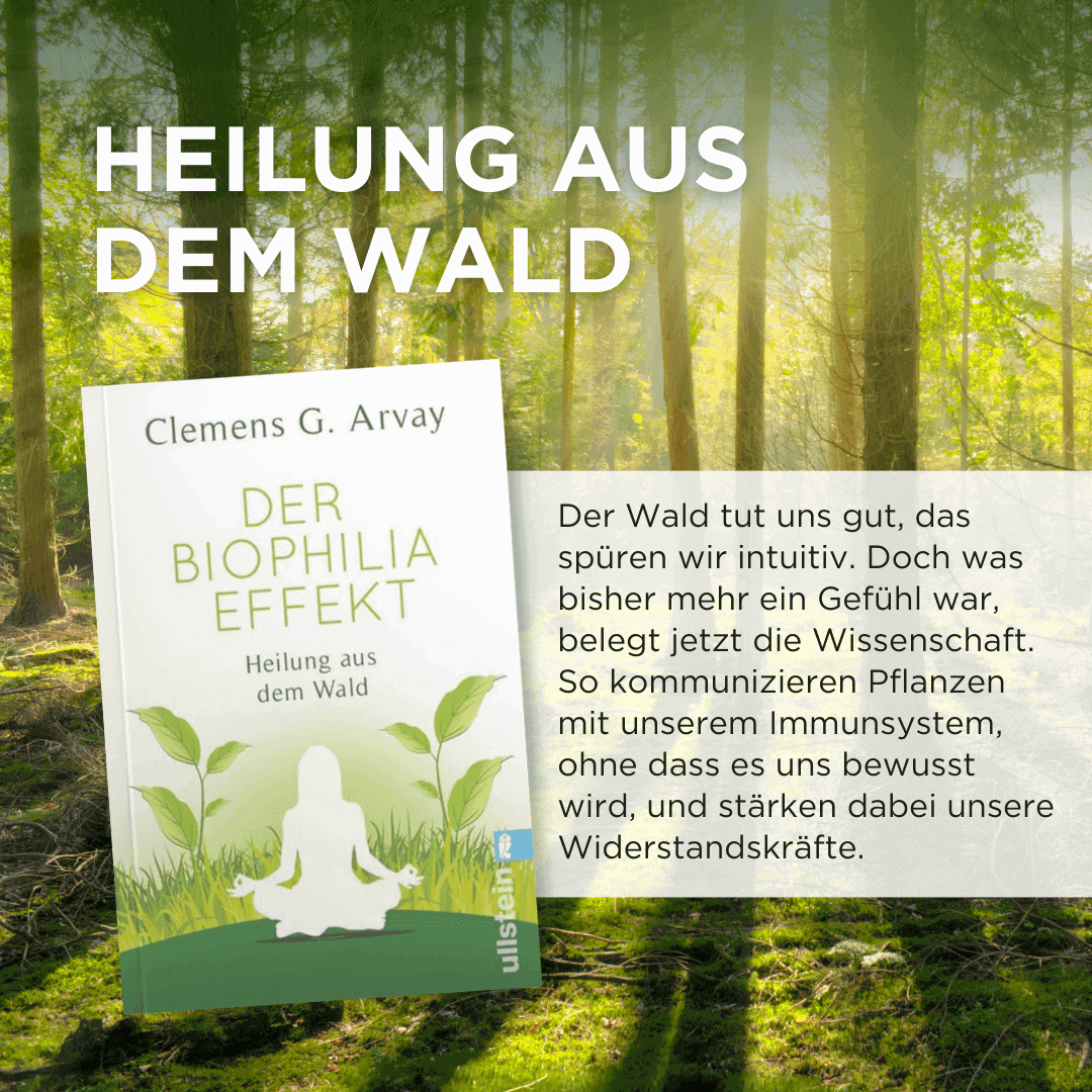 Der Biophilia-Effekt