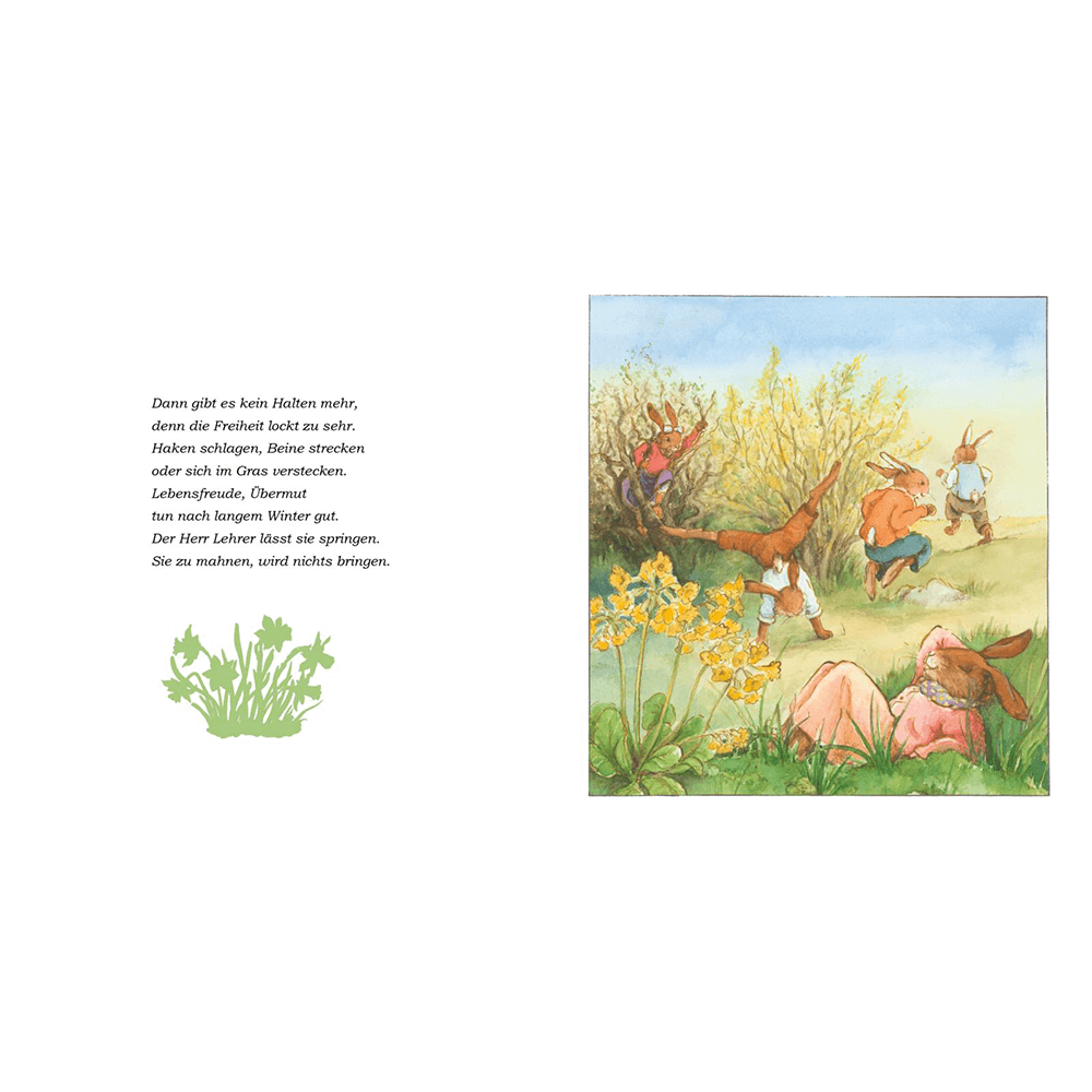Die Häschenschule 9: Frühling in der Häschenschule