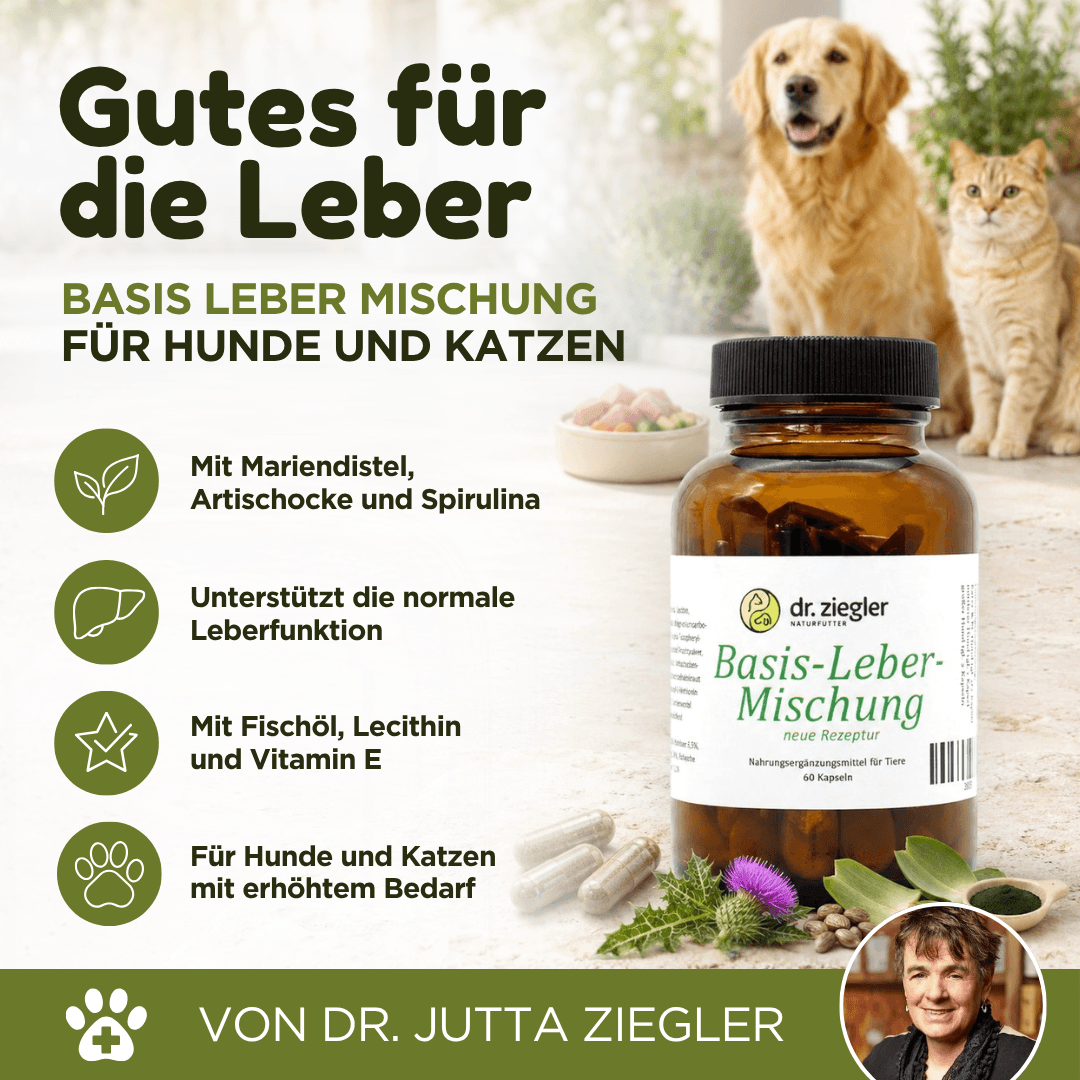 Basis Leber Mischung Kapseln für Hunde und Katzen