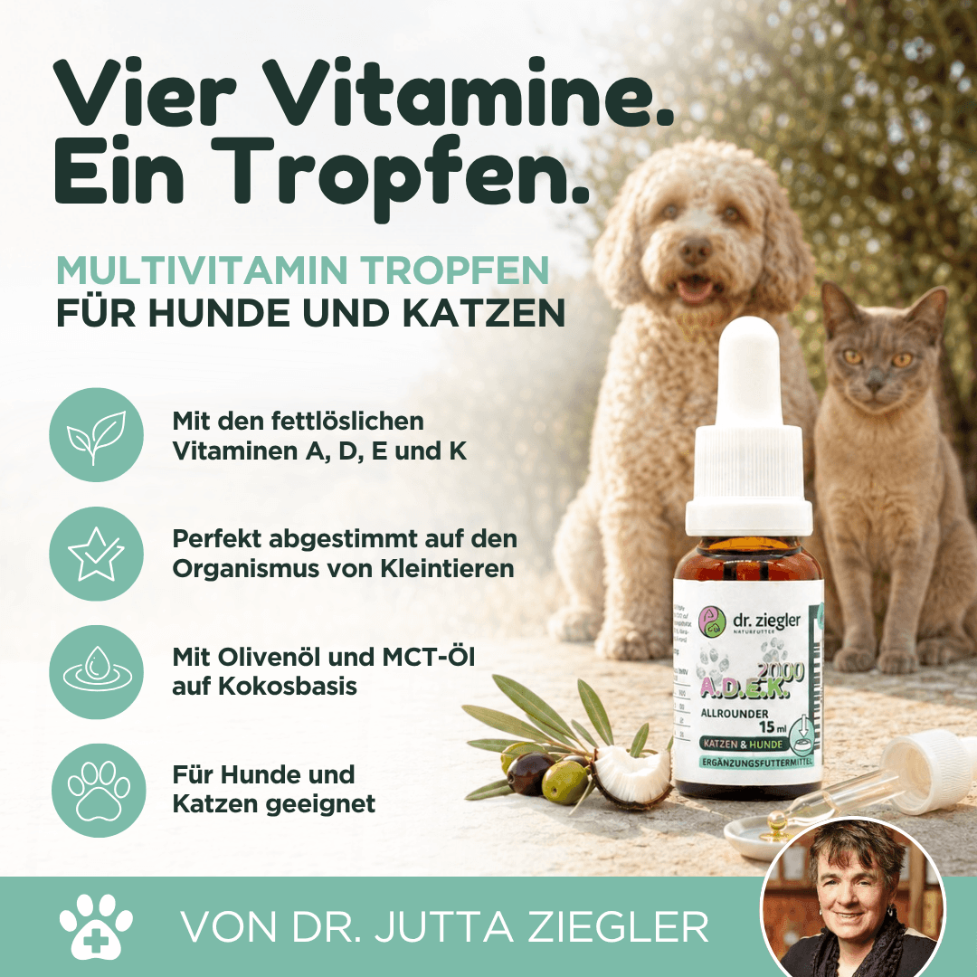 Multivitamin Tropfen ADEK 2000 für Hunde und Katzen
