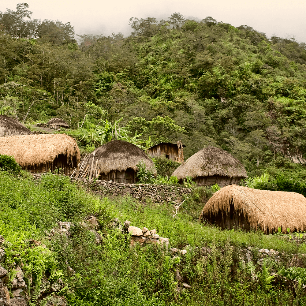 Probierpackung Bio Arabica Röstkaffee „Der Schokoladige“ aus Papua Neuguinea