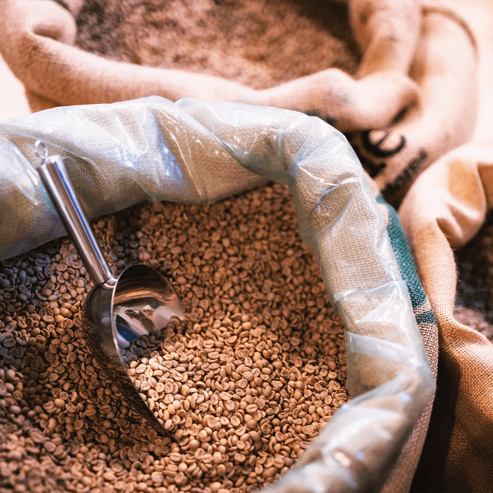 Probierpackung Bio Arabica Röstkaffee „Der Schokoladige“ aus Papua Neuguinea