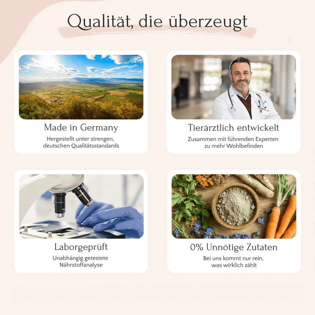 Dental Pulver für Hunde