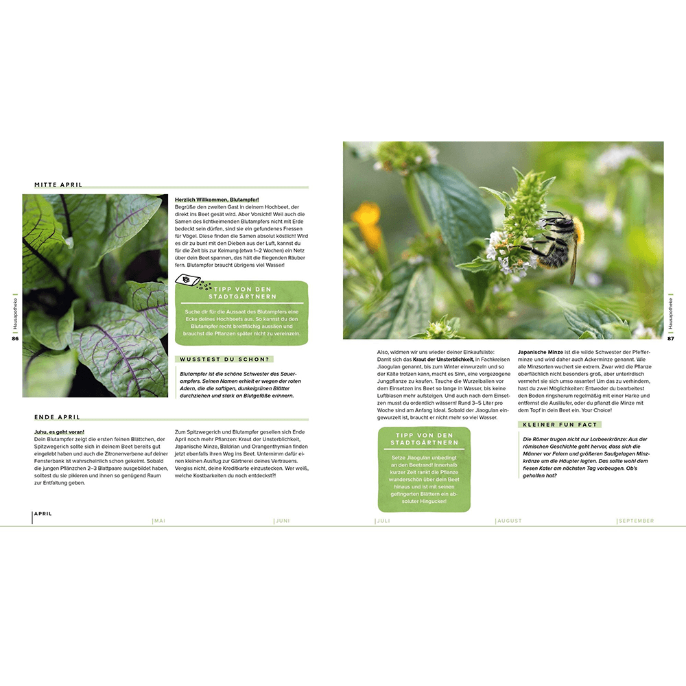 Garten, Hochbeet, Ernte-Wunder – Drei Bücher im Bundle