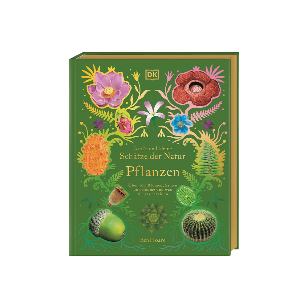 Große und kleine Schätze der Natur – Pflanzen