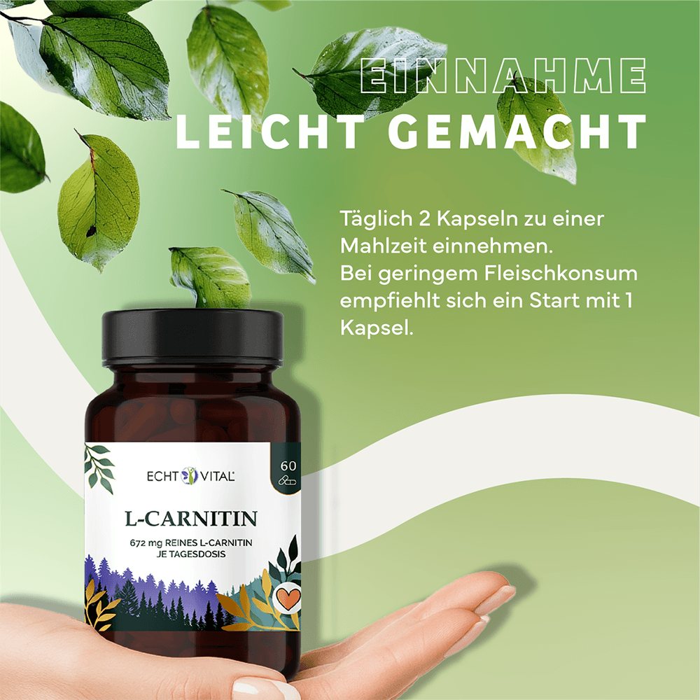 L-Carnitin Kapseln aus pflanzlicher Fermentation
