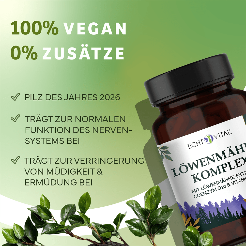 Löwenmähne-Komplex Kapseln mit Löwenmähne-Extrakt, Q10 und B12