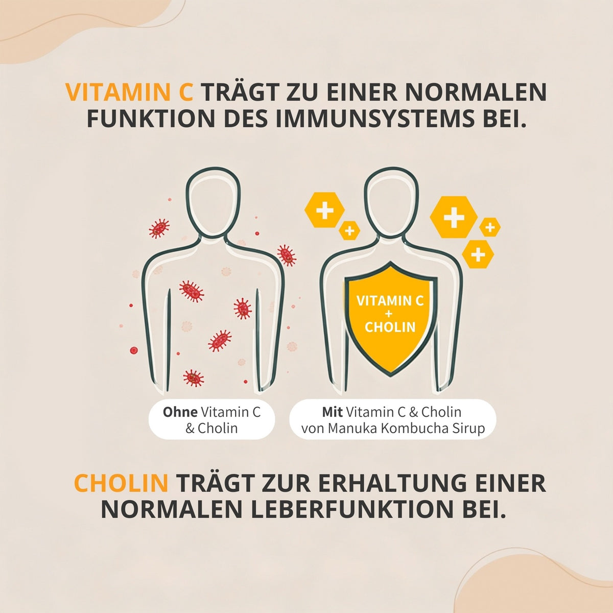 Manuka Kombucha Sirup mit Propolis und feinem Salbeigeschmack