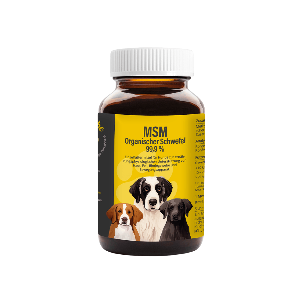 MSM Pulver für Hunde