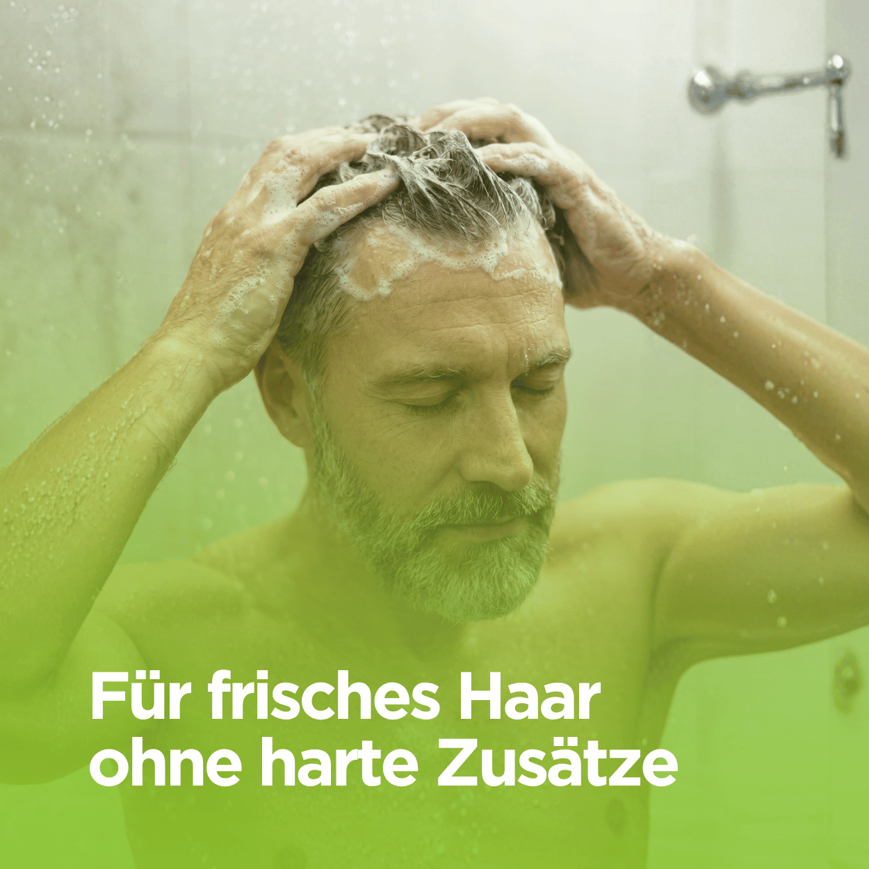 Bio Shampoo mit Zirbenöl