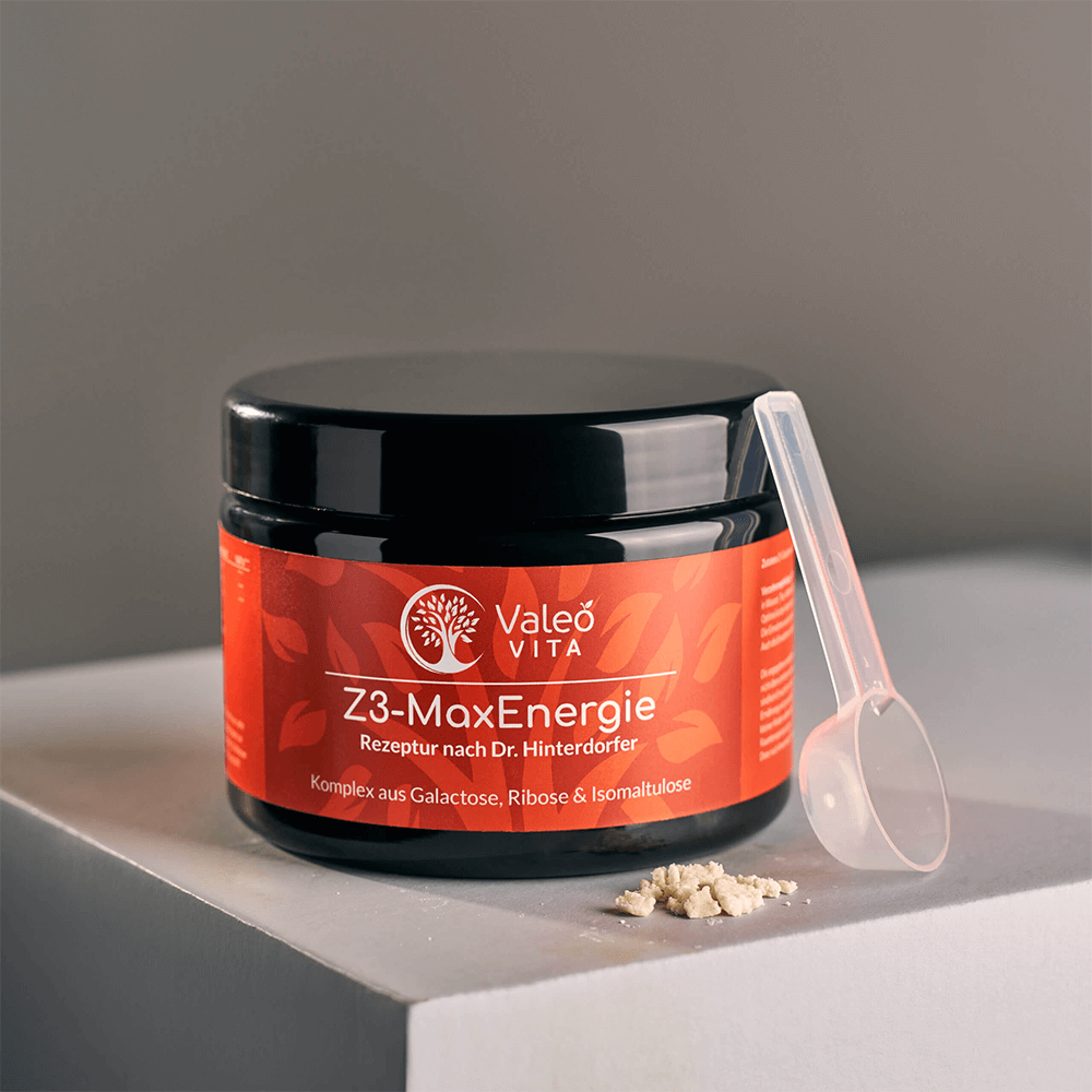 Z3-MaxEnergie