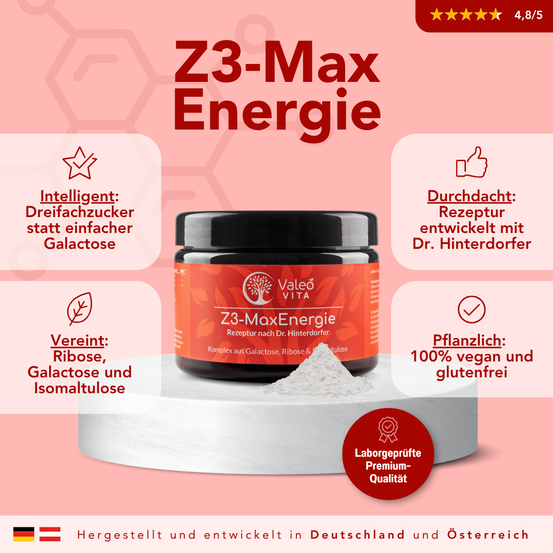 Z3-MaxEnergie