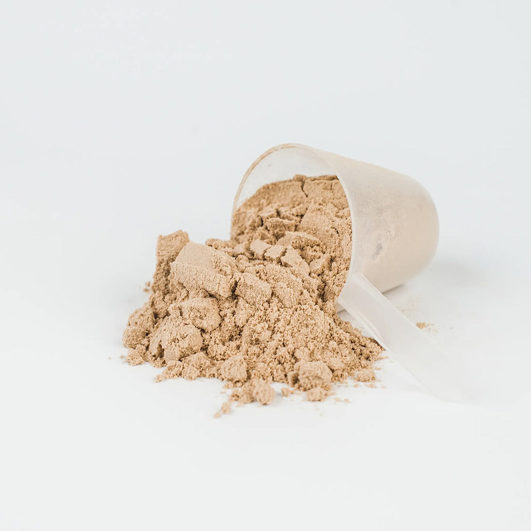 Pflanzliches Protein Schokolade