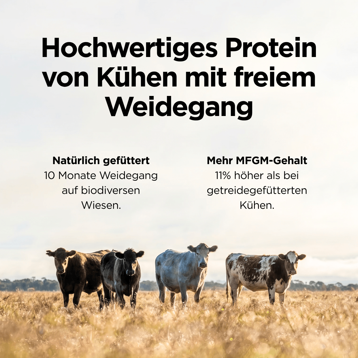 Weidemilch Whey Protein Pistazie