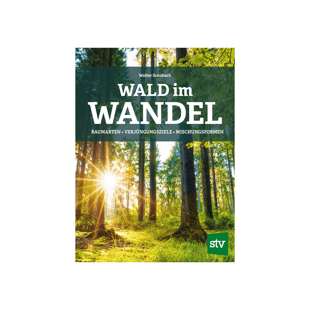 Wald im Wandel