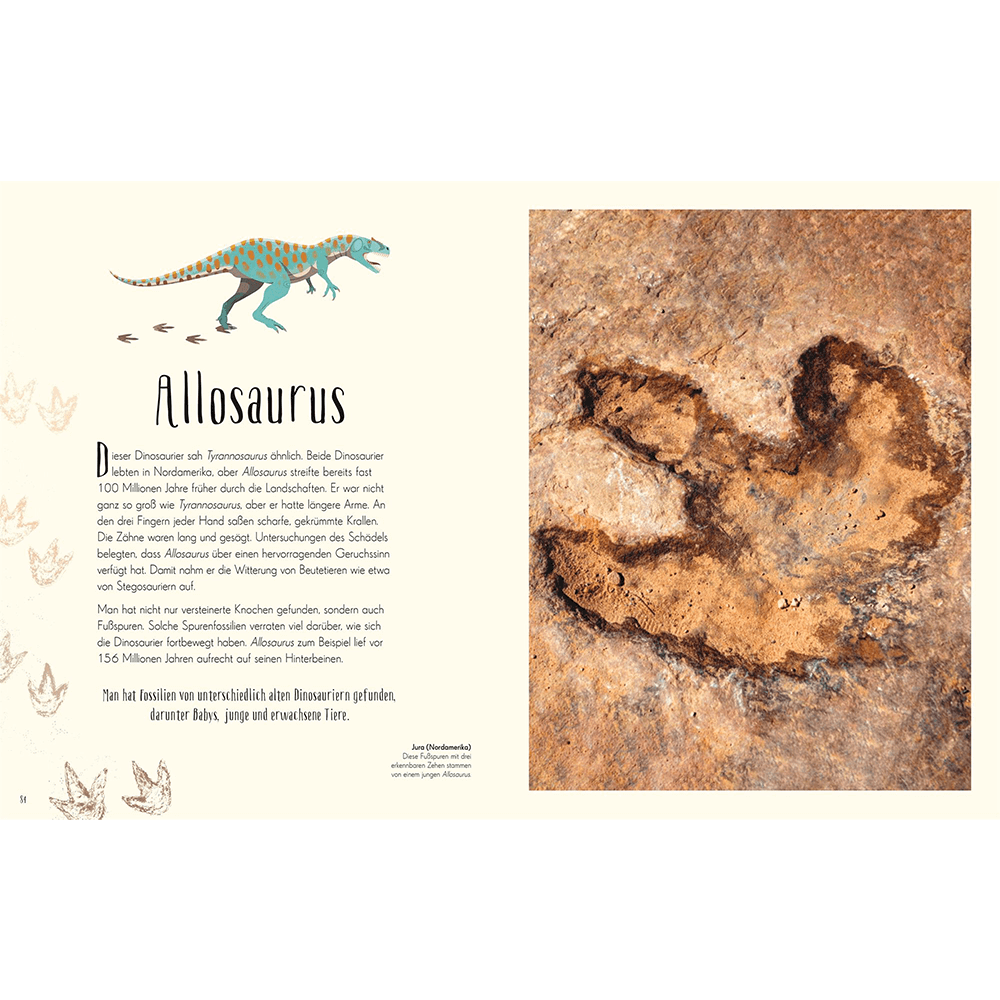Wundervolle Welt der Dinosaurier und der Urzeit