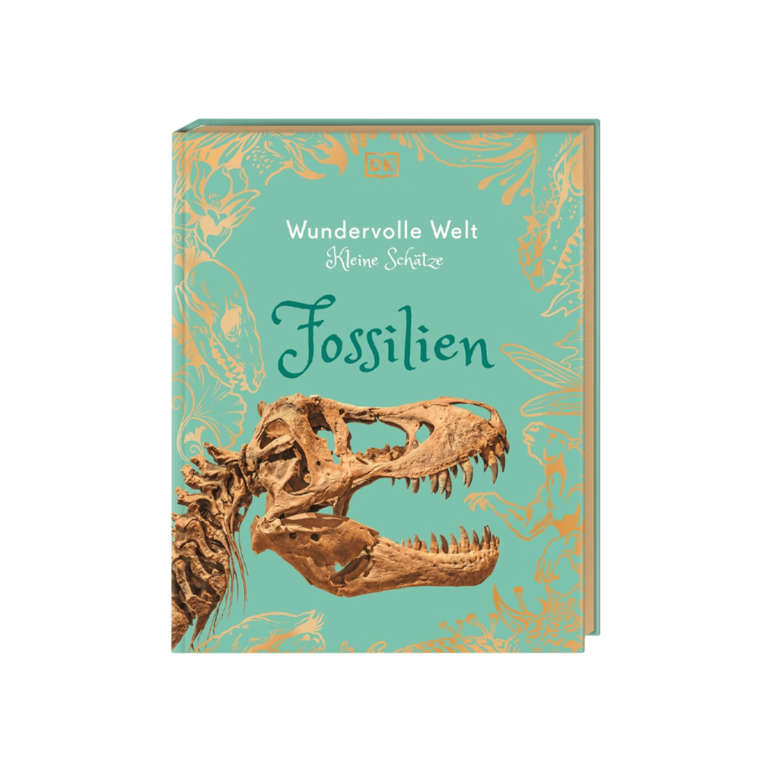 Wundervolle Welt – Kleine Schätze. Fossilien