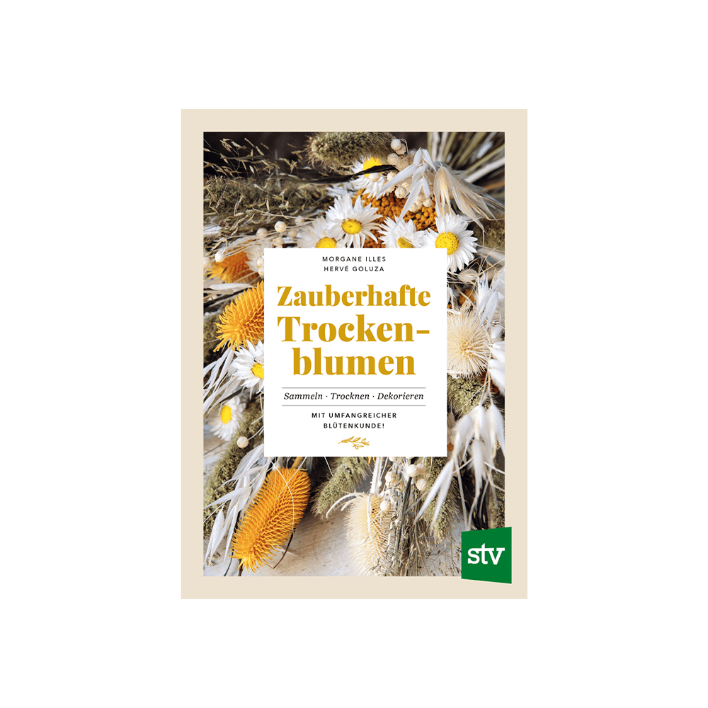 Zauberhafte Trockenblumen
