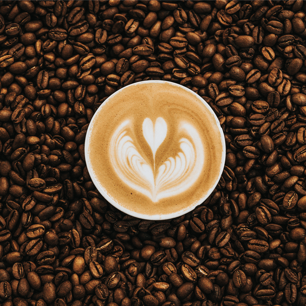 Bio Kaffee Mocca